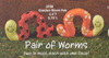 Pair of Worms